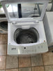 Inalto 5.5kg top loader washing machine Cheap World Online